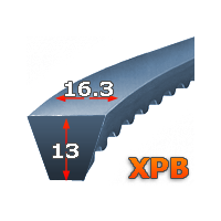 Pasy uzębione XPB (16.3x13)