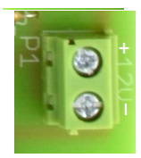 Zdjęcie pinów złącza P1