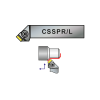 CSSPR/L