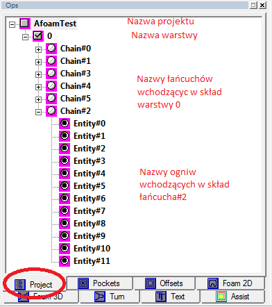 Pasek zakładek programu Lazycam